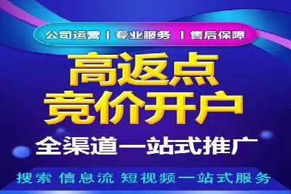 案例解析：百度推广排名提升的实战技巧