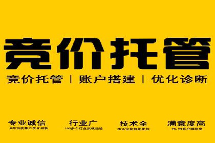 SEM推广案例：竞价代运营实战解析